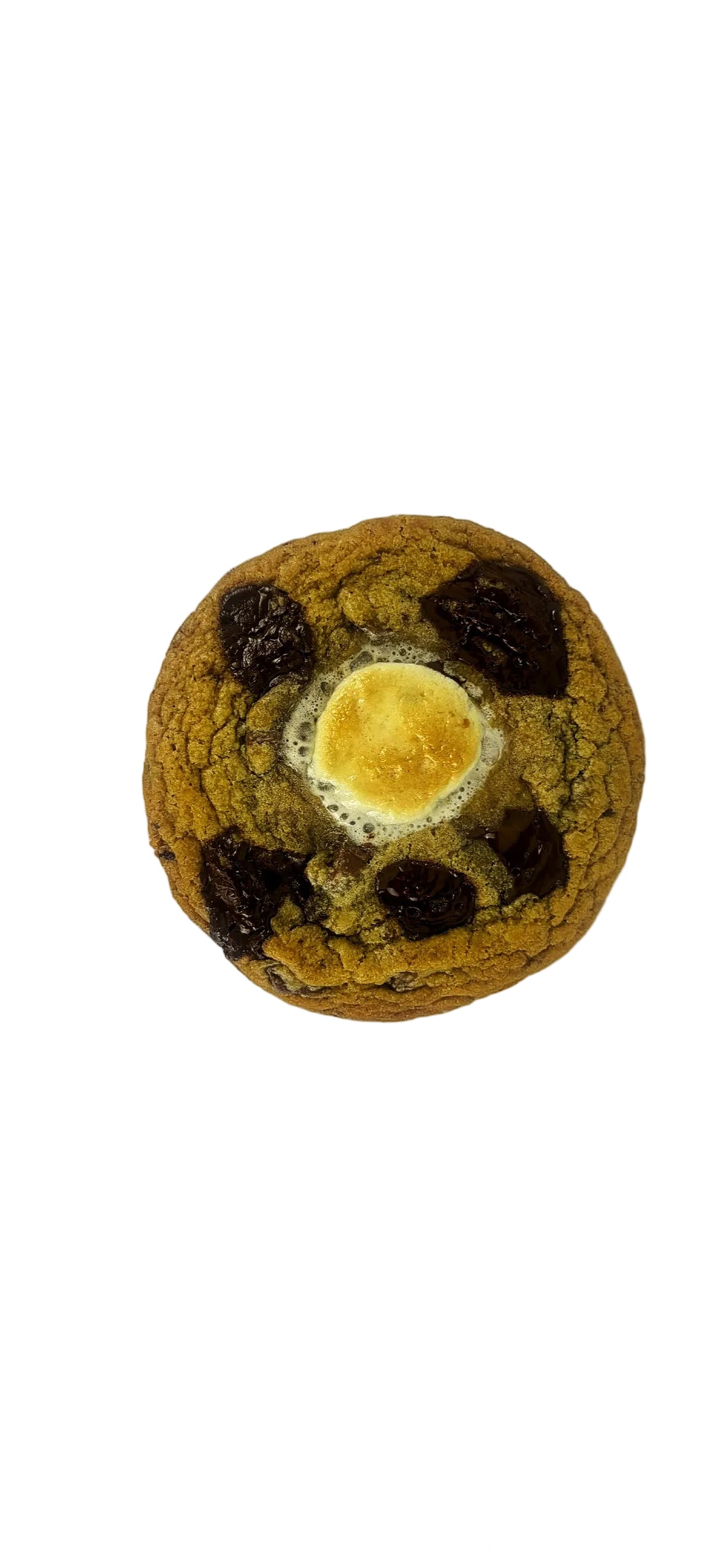 Campfire S'mores (GF)