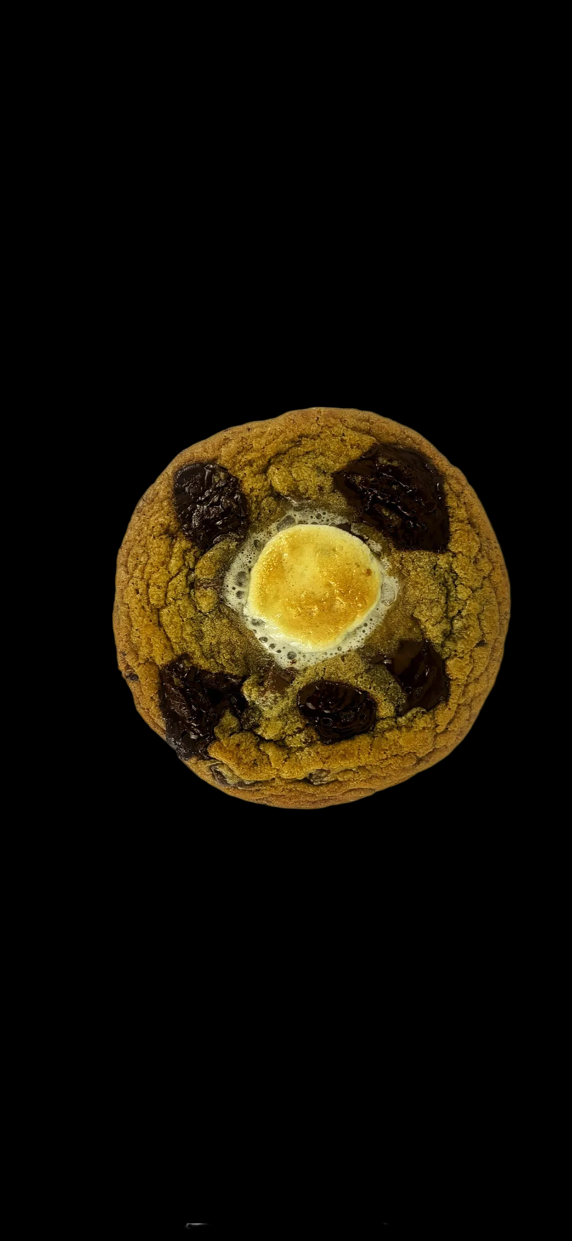 Campfire S'mores (GF)